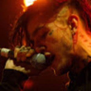 Meet your Posher, Shelby